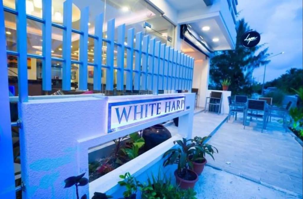 The White Harp Beach Hotel - photo 23