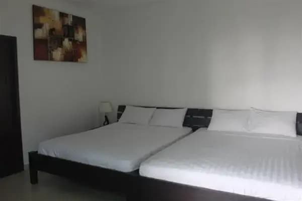 Dive Today Resort - photo 6