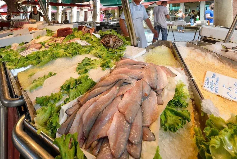 STUA Rialto-Market - photo 19