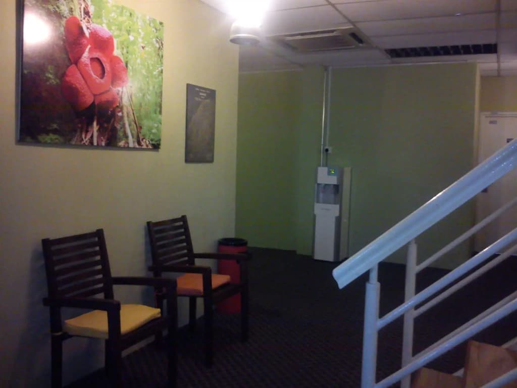 Rafflesia Inn - photo 11