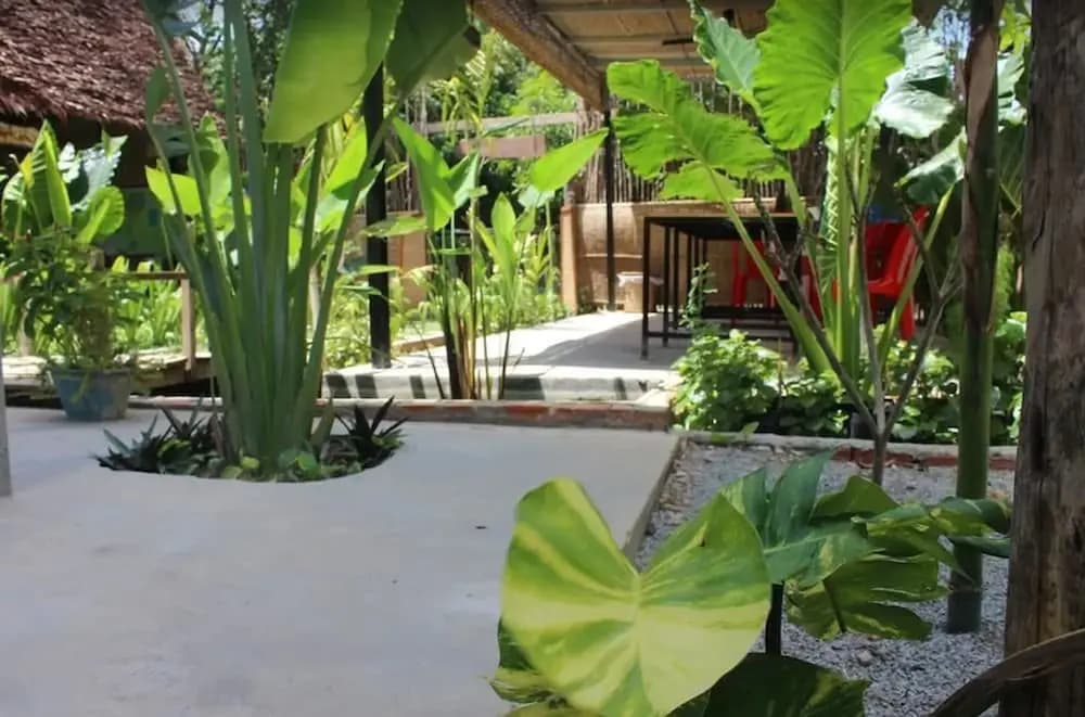 The Green Home - photo 16