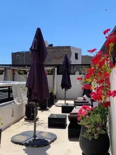 Riad El Jadide - photo 3