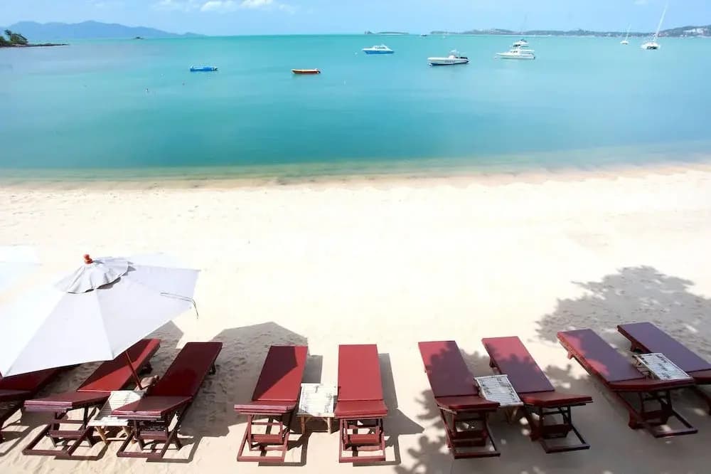 Sandy Resort - photo 12