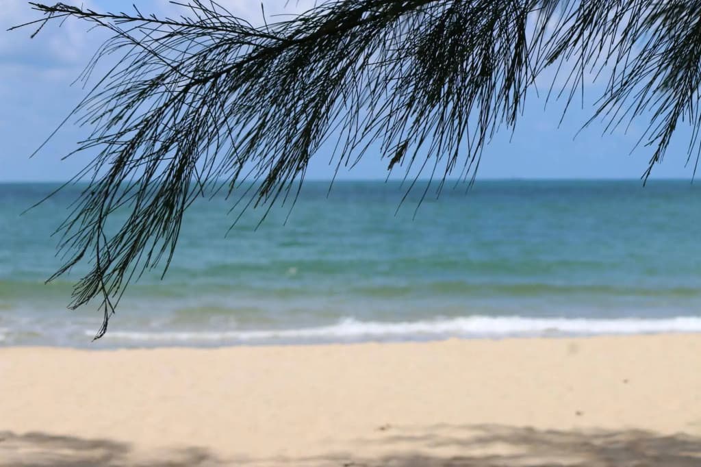 White Lotus Resort - photo 12
