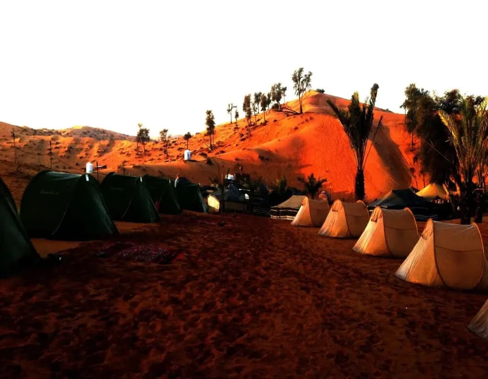 Bedouin Oasis Camp - photo 18