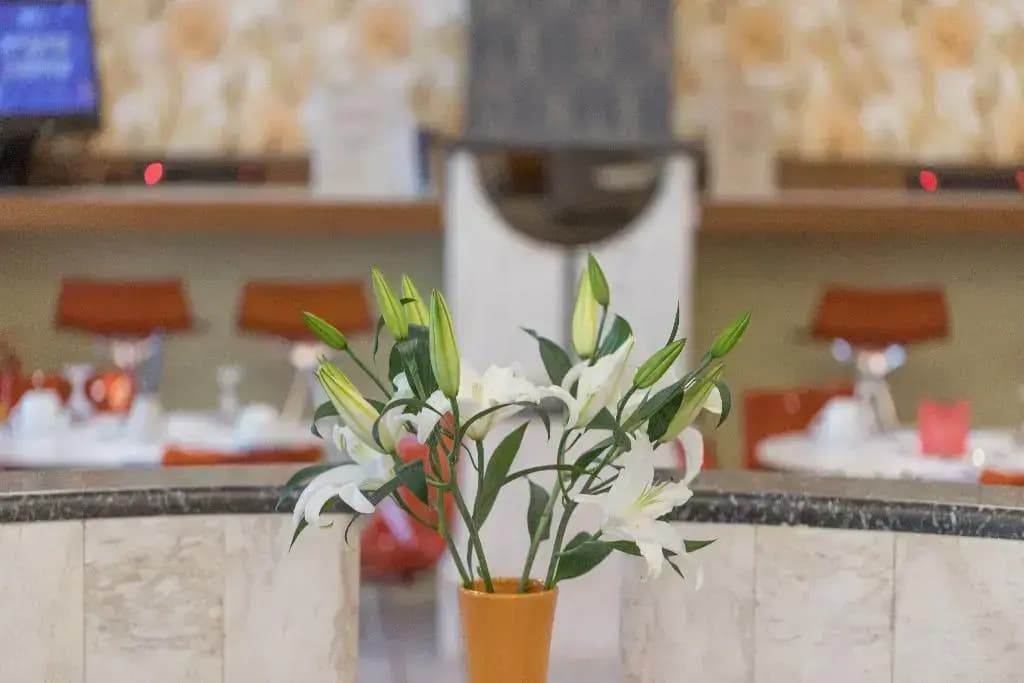 My Athens Hotel - photo 9