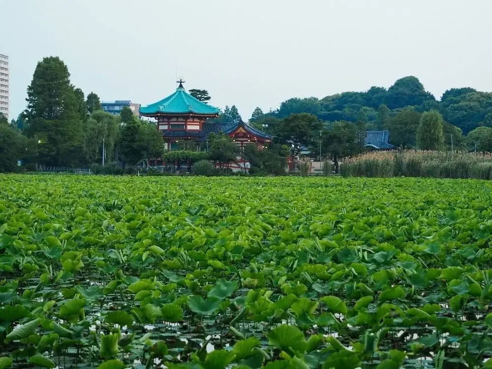 TORA HOTEL Taito A - photo 9