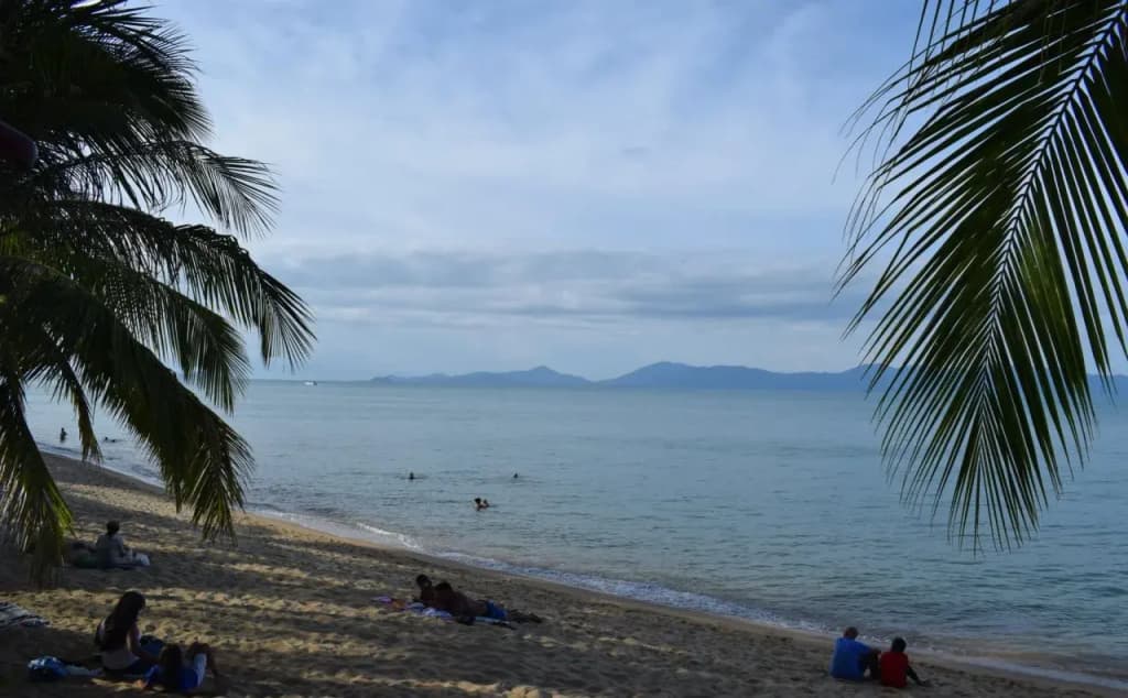 Serenity Resort - photo 8