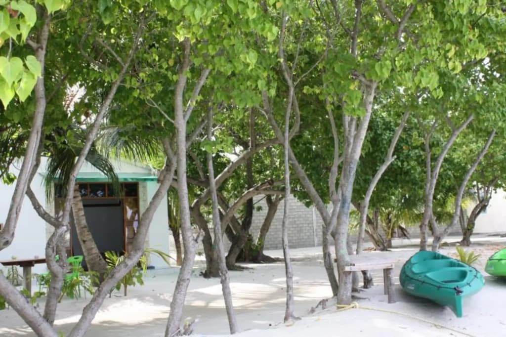 Ithaa Beach Maldives - photo 22