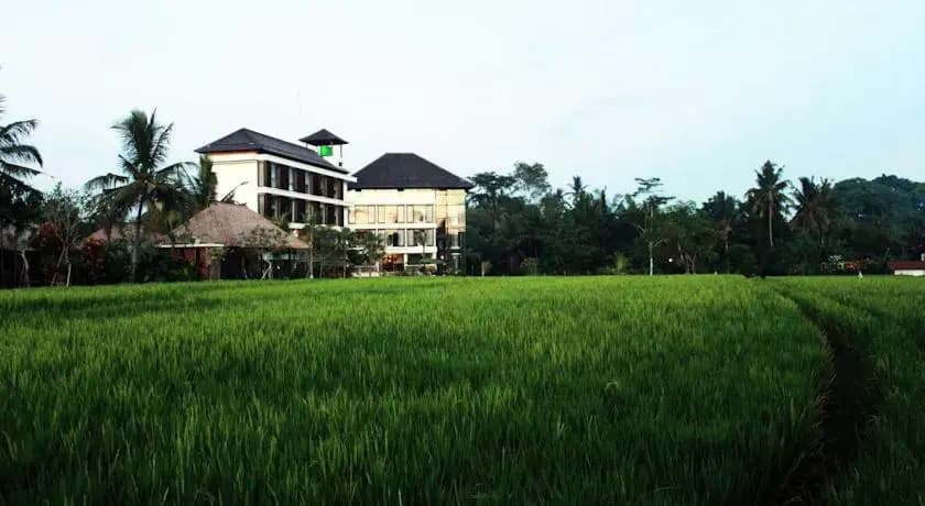 Bening Bungalow - photo 4