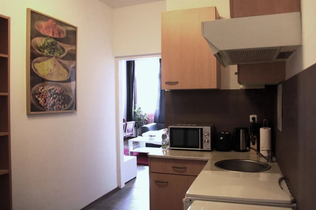 CheckVienna – Apartment Davidgasse - photo 10