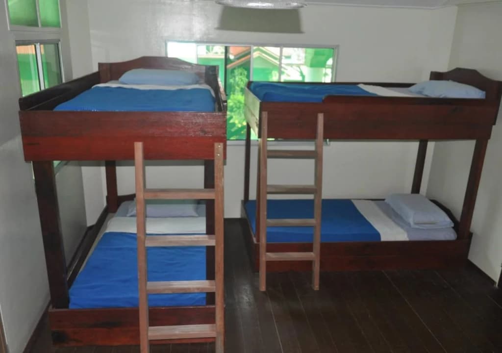 Sukau Greenview Bed & Breakfast - photo 2