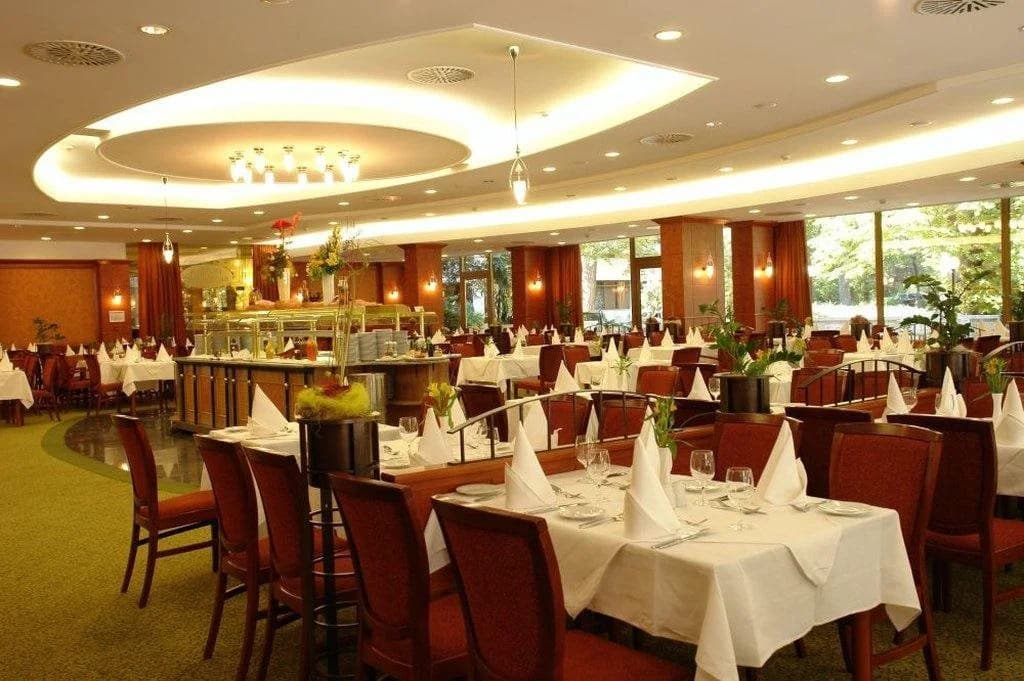 Ensana Thermal Margaret Island Hotel - photo 20
