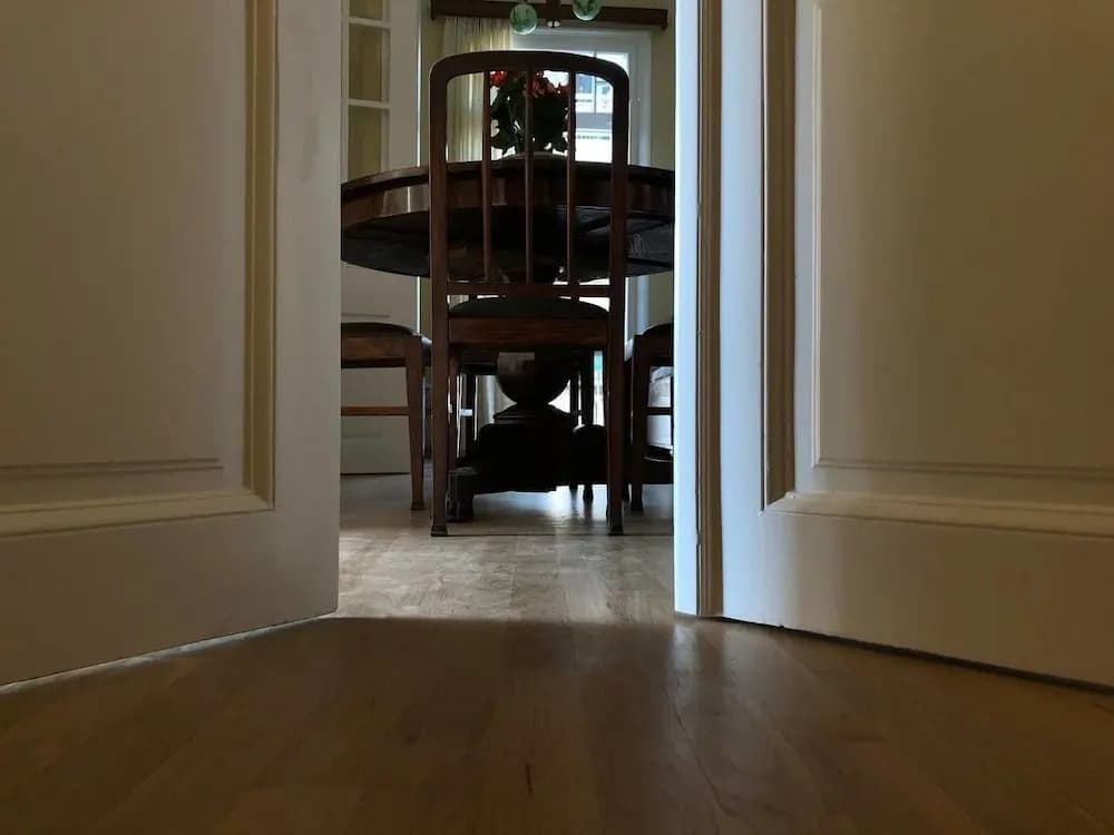 The Bozonians Neoclassical house - photo 19