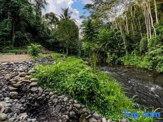 The Pala Ubud by Elite Havens - photo 8
