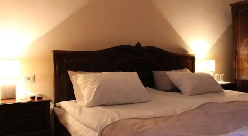V Park Hotel - photo 4