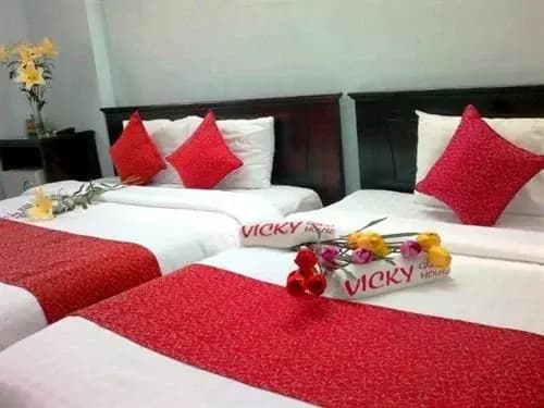 Vickys Boutique Guesthouse - photo 10