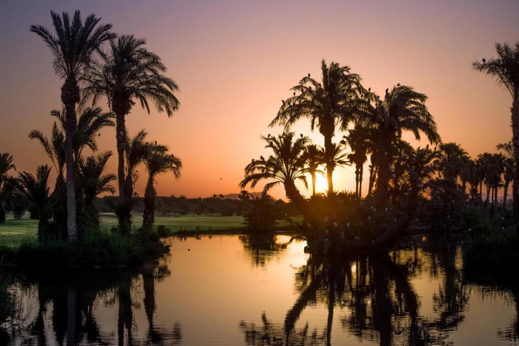 Golf Club Rotana - photo 35
