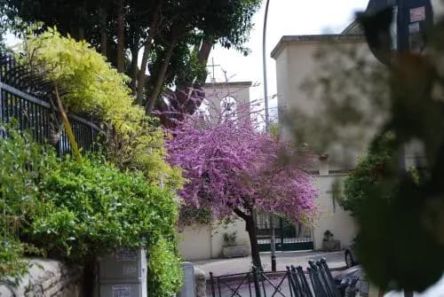 Casalalla - photo 11