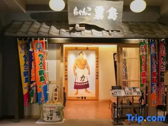 Hotel Estasia Ryogoku - photo 5