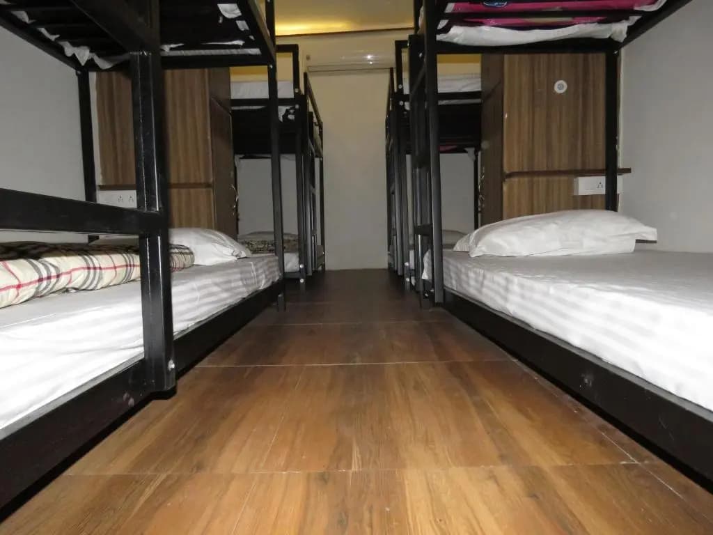 Comfort Stay Hostel - photo 2