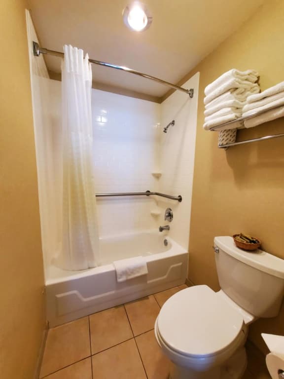 Royal Pacific Motor Inn - photo 42