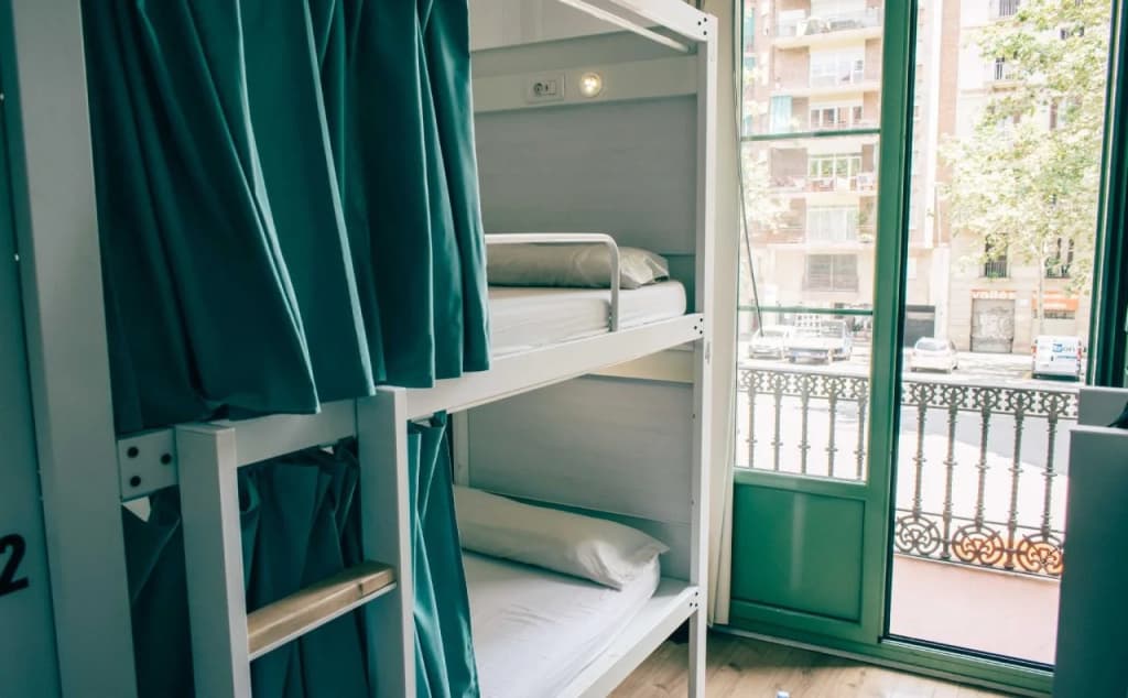 Black Swan Hostel - photo 4