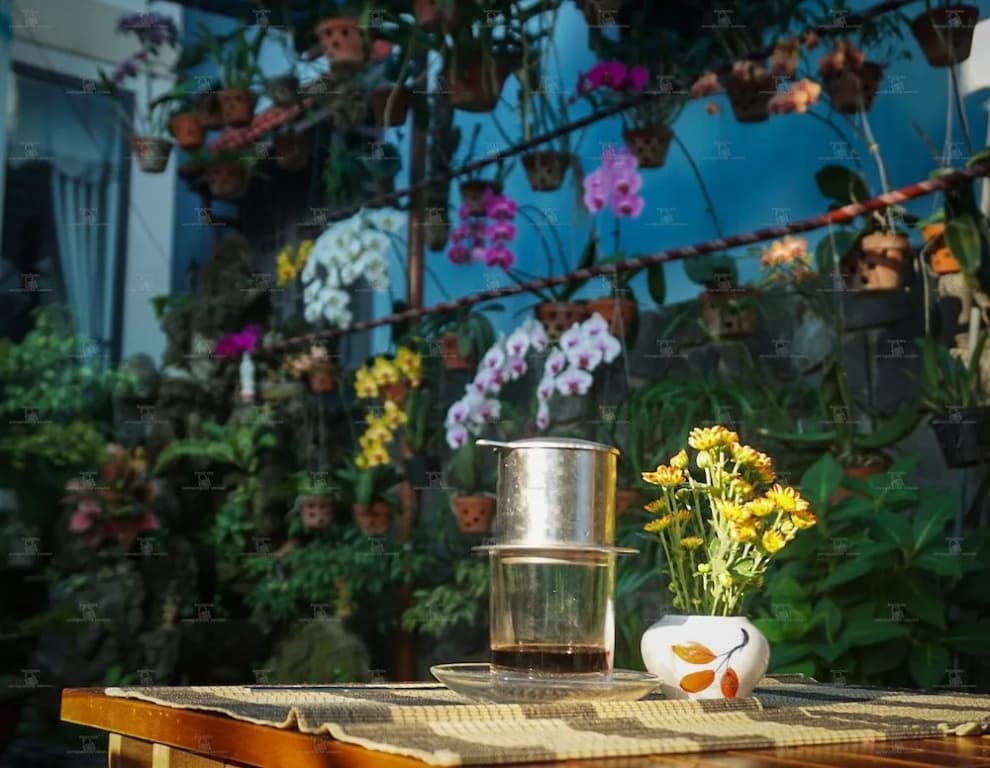 Hanh Nhung Villa - photo 17
