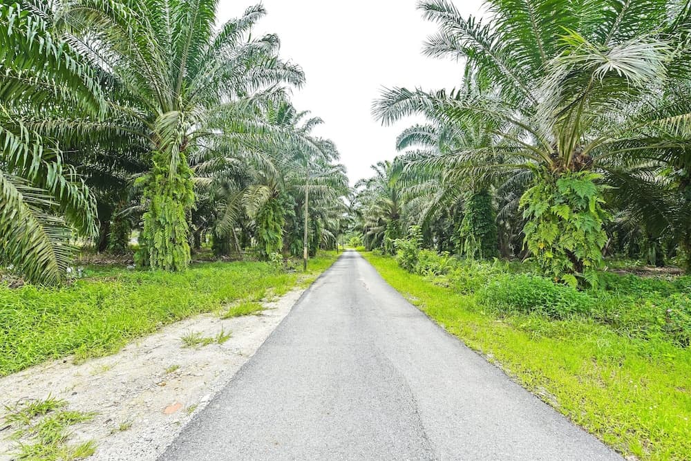 Hotel O Jentayu Homestay Pontian - photo 8