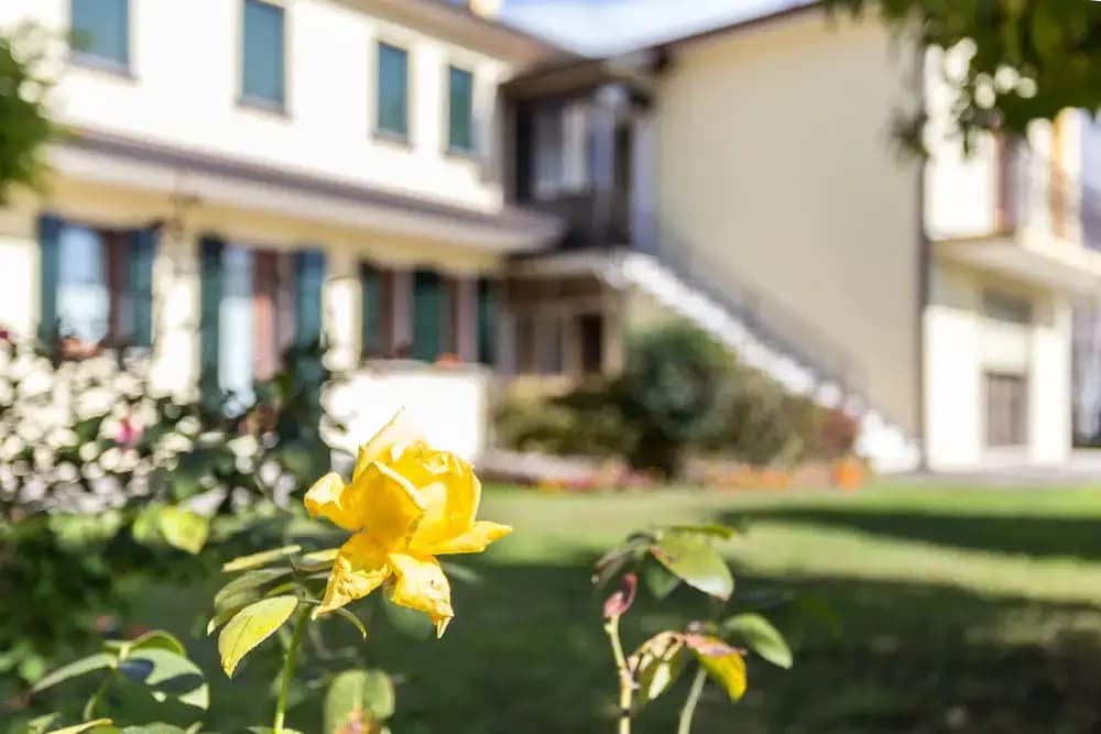 Home near Venice - photo 1