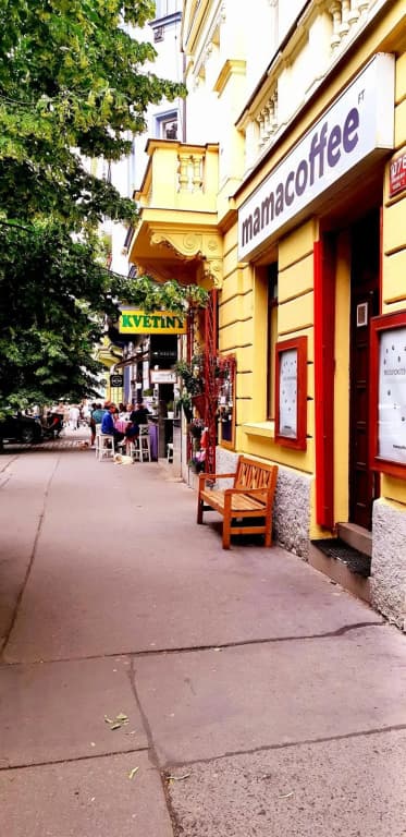 Cozy studio in Vinohrady - photo 1