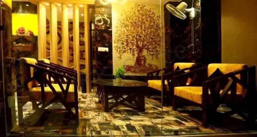 Hotel Nirvana-Near IGI Airport Delhi - photo 11
