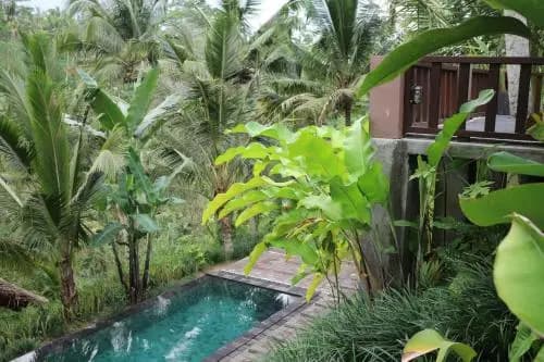 The Desa Ubud Villa - photo 43