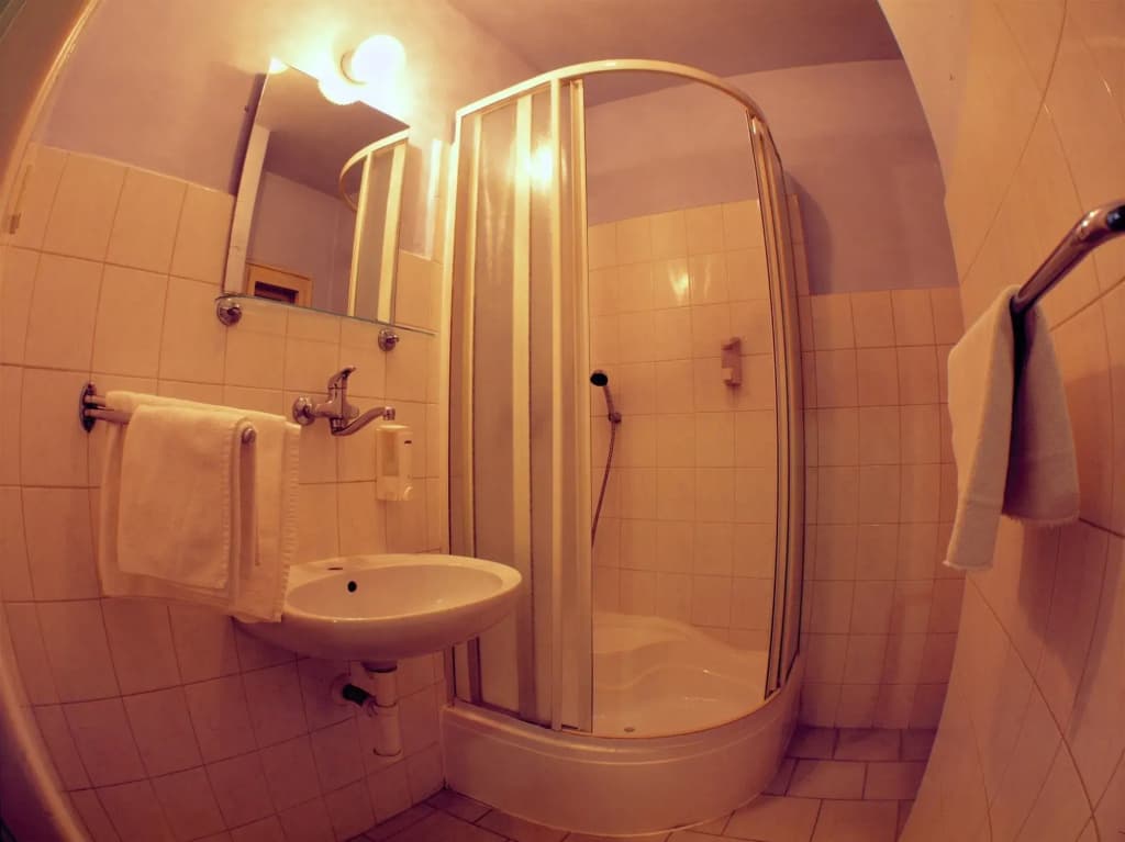 Hotel Prokopka - photo 8
