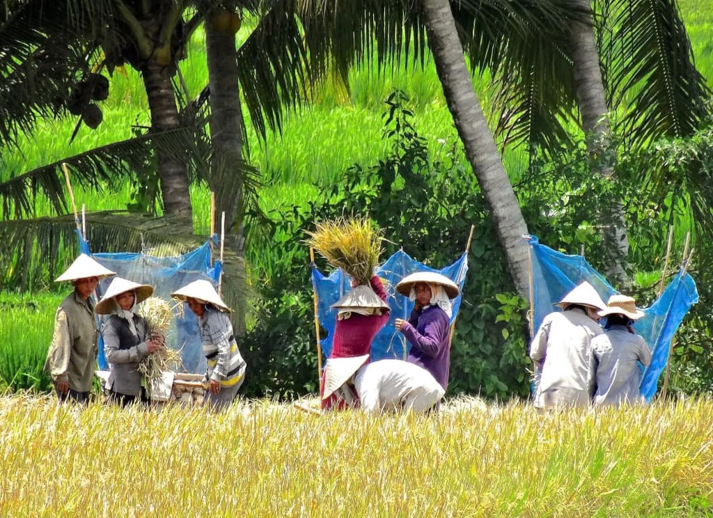 Lodtunduh Sari - photo 18