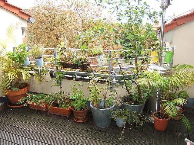 Dachgeschoß Traum Im Herzen Berlins - photo 3