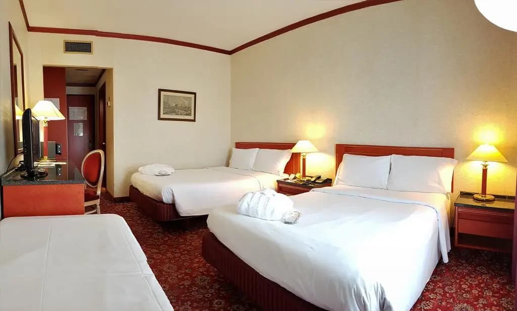 Russott Hotel - photo 29