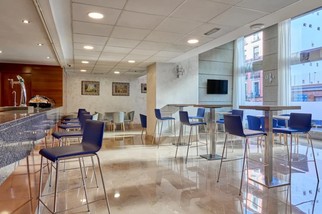 Porcel Ganivet Hotel - photo 22