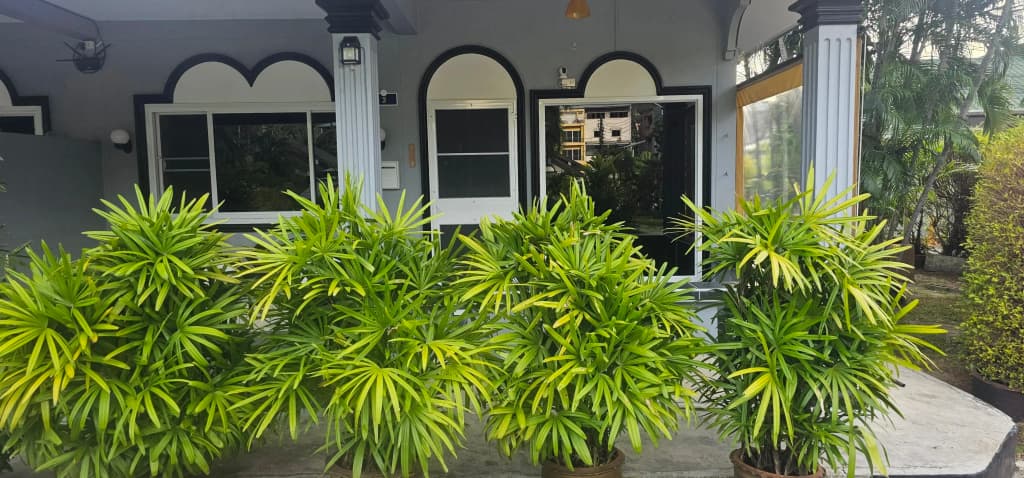 Superior Villa 3 - photo 3