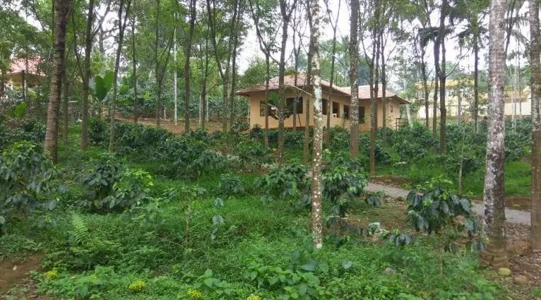 Himadri Retreat Cottages - main photo