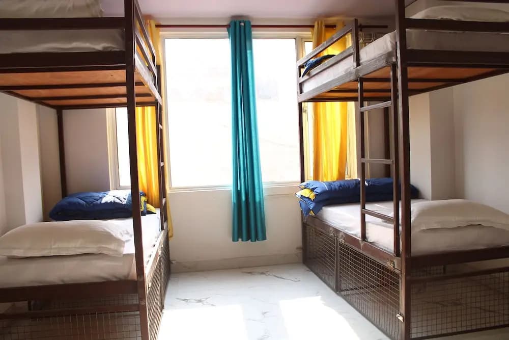 Traveller Paradise - photo 2