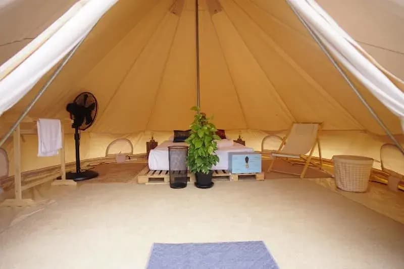 Roost Glamping - photo 16