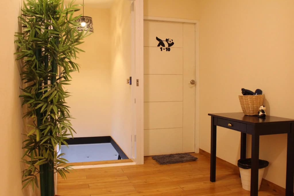 Mad Panda Hostel - photo 9