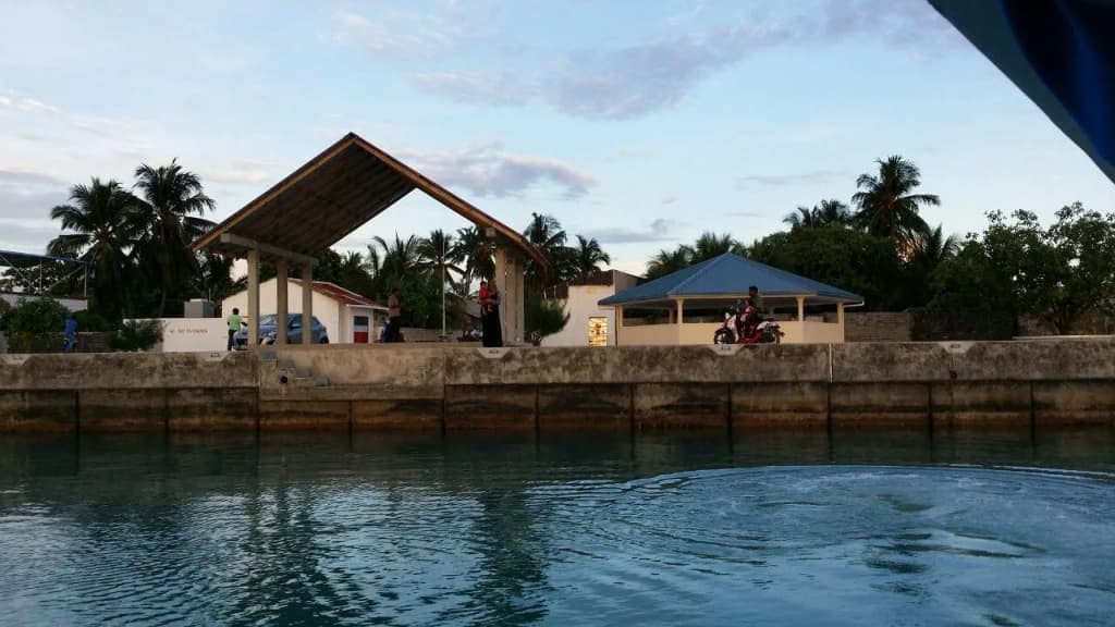 Island Guest - photo 16