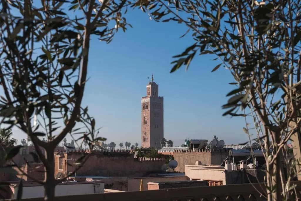 Riad Hissan - photo 12