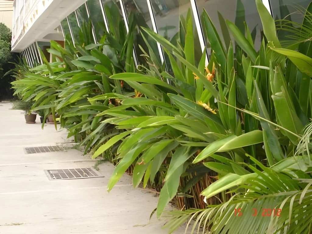 Diamond Sweet Hotel - photo 11