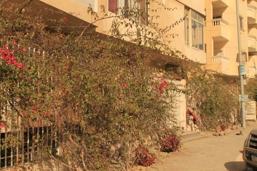 610 Hostel - main photo