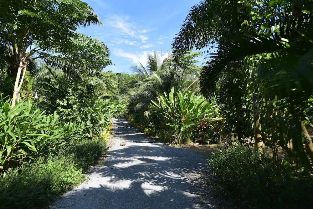 Baan Suan Farmstay - photo 15