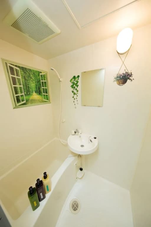 Tatsuya house 307 - photo 6