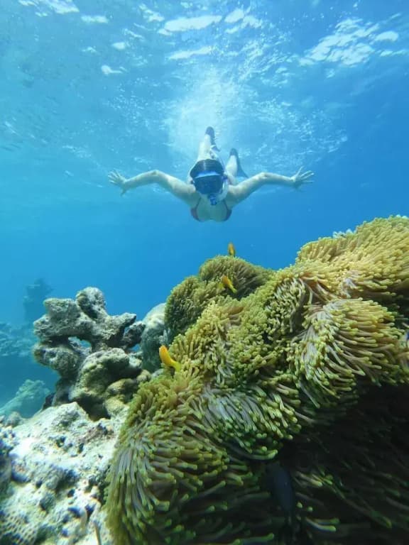 Suffix Retreat - Stay, Dive & Explore Fuvahmulah - photo 49